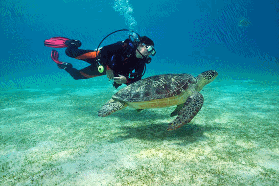 Séjour de 9jours et 8 nuits a Busuanga Island aux Philippines